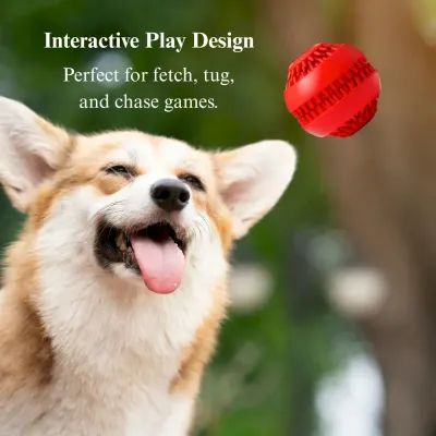 strong chewer treat toy strong chewer treat toy