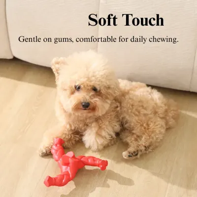 interactive triangle chew toy