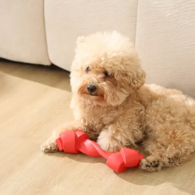 tough dog toy rubber