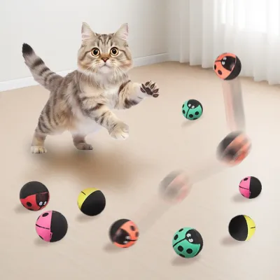 Cat Toy Ball_6 Cat Toy Ball_6