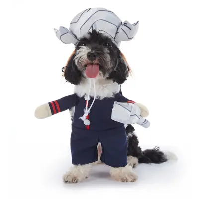 funny pet costume funny pet costume