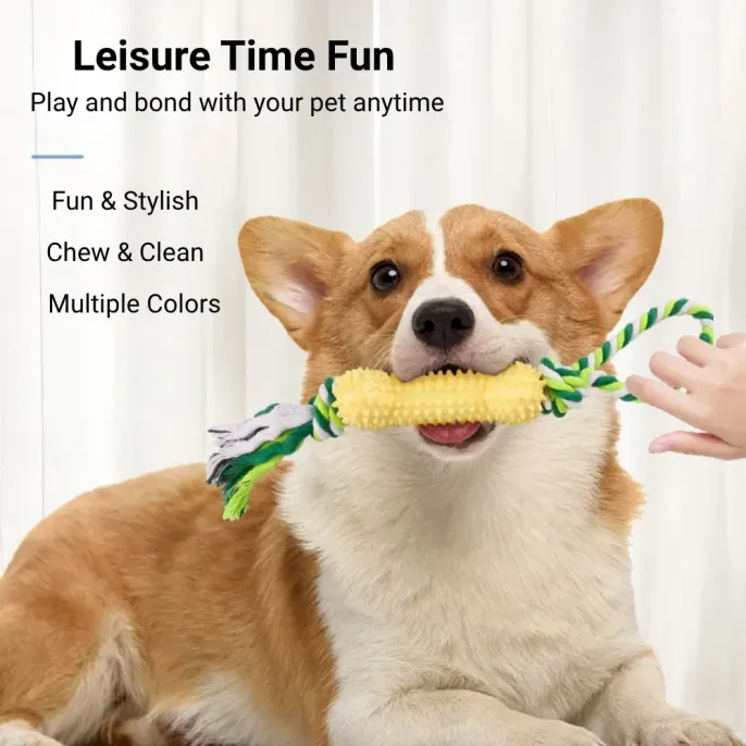 tug of war dog toy
