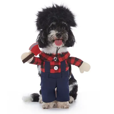 funny dog costume funny dog costume