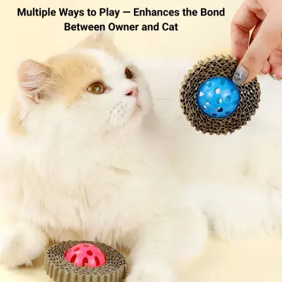 cat toy ball