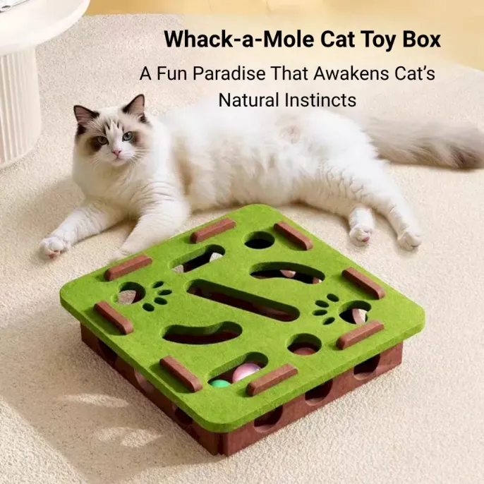 Durable Cat Puzzle Box