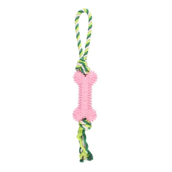 chew rope bone