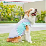 outdoor dog apparel