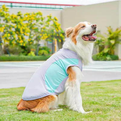 outdoor dog apparel