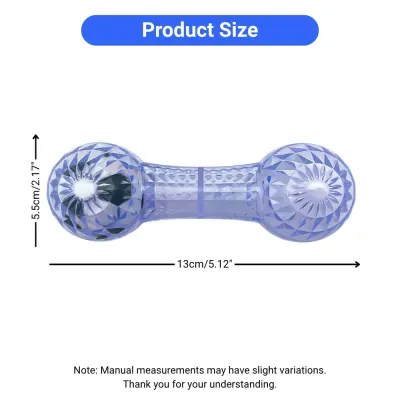 squeaky bone toy