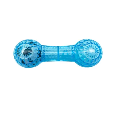 TPR bone toy