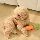 Interactive Teeth-Cleaning Carrot Rubber Squeaky Dog Toy_5 Interactive Teeth-Cleaning Carrot Rubber Squeaky Dog Toy_5