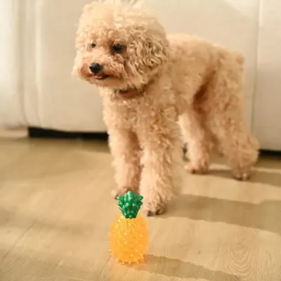 Summer Squeaky Chew Teething TPR Cooling Dog Frozen Toy_4 Summer Squeaky Chew Teething TPR Cooling Dog Frozen Toy_4