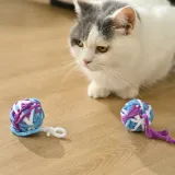 Colorful Cat Ball Toy_6