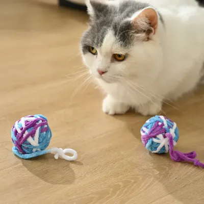 Colorful Cat Ball Toy_6 Colorful Cat Ball Toy_6