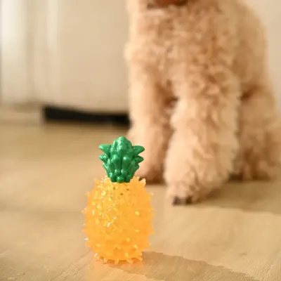 Summer Squeaky Chew Teething TPR Cooling Dog Frozen Toy_5 Summer Squeaky Chew Teething TPR Cooling Dog Frozen Toy_5