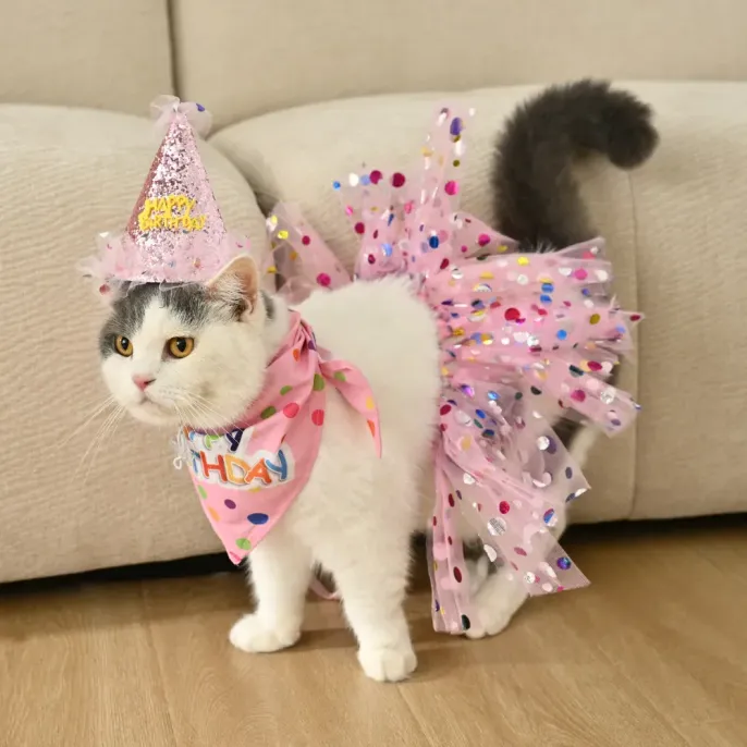 3 PCS Set Birthday Party for Dogs_2