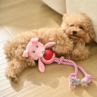 Pig Shape Cotton Rope Dog Chew Toy with Tennis Ball_6