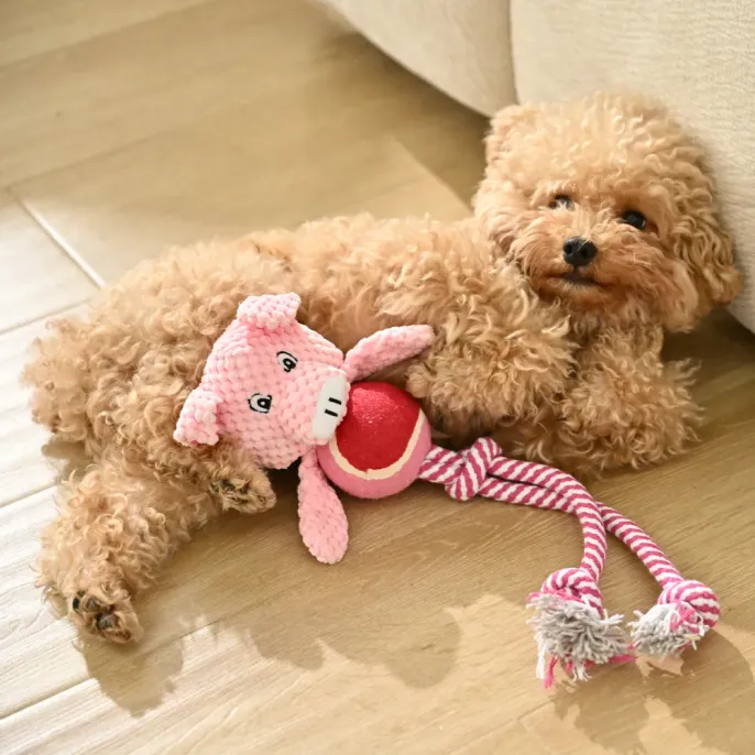 Pig Shape Cotton Rope Dog Chew Toy with Tennis Ball_6 Pig Shape Cotton Rope Dog Chew Toy with Tennis Ball_6