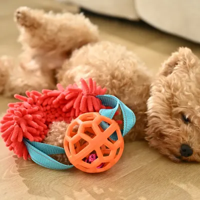 Dog Tug Toy with Hollow TPR ball_6 Dog Tug Toy with Hollow TPR ball_6