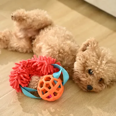 Dog Tug Toy with Hollow TPR ball_5 Dog Tug Toy with Hollow TPR ball_5