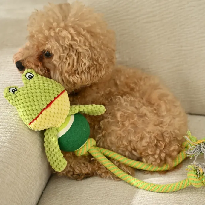 Tennis Ball Long Legs Funny Frog Shape Dog Toy_6 Tennis Ball Long Legs Funny Frog Shape Dog Toy_6