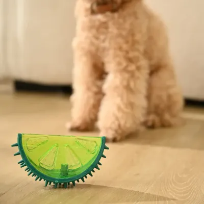 Summer Cooling Squeaky Teething Chew TPR Dog Frozen Toys_4 Summer Cooling Squeaky Teething Chew TPR Dog Frozen Toys_4
