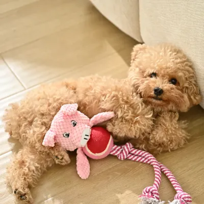 Pig Shape Cotton Rope Dog Chew Toy with Tennis Ball_5 Pig Shape Cotton Rope Dog Chew Toy with Tennis Ball_5