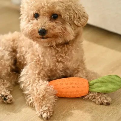 Interactive Teeth-Cleaning Carrot Rubber Squeaky Dog Toy_6 Interactive Teeth-Cleaning Carrot Rubber Squeaky Dog Toy_6