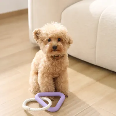 Pet Dogs Pull Ring Toy Pet Dogs Pull Ring Toy
