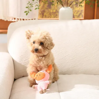 Manufacturer Dog Plush Toy Manufacturer Dog Plush Toy