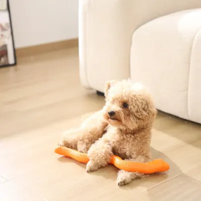 Manufacturer Snake Shaped Dog TPR Toy Manufacturer Snake Shaped Dog TPR Toy