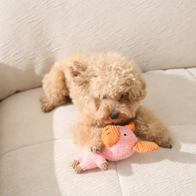 Best Dog Plush Toy Best Dog Plush Toy