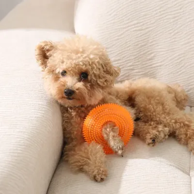 spiked ring dog toy factory
