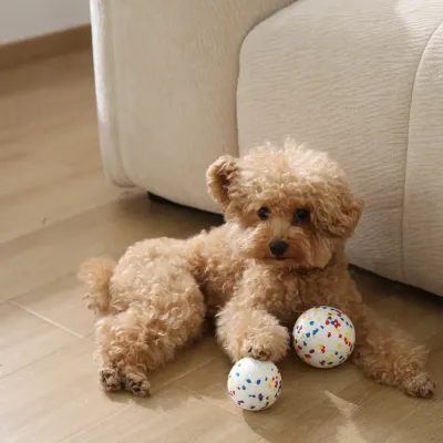 dog ETPU ball toy dog ETPU ball toy