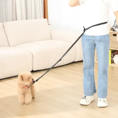 pet leash around the waist leash_5