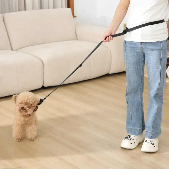 pet leash around the waist leash_6