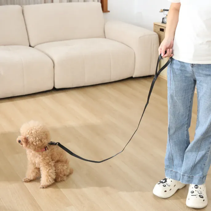 Nylon Pet Dog Leash_6 Nylon Pet Dog Leash_6