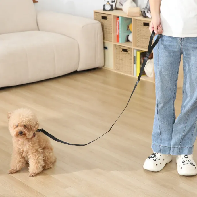 Nylon Pet Dog Leash_7 Nylon Pet Dog Leash_7