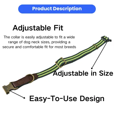 pet dog collar_12