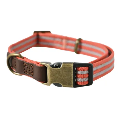 pet dog collar_7