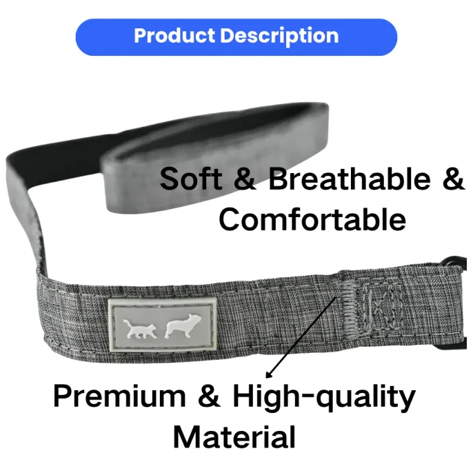 Eco Pet Dog Collar_6 Eco Pet Dog Collar_6