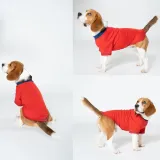 all season dog shirt