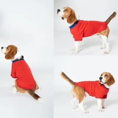 all season dog shirt all season dog shirt