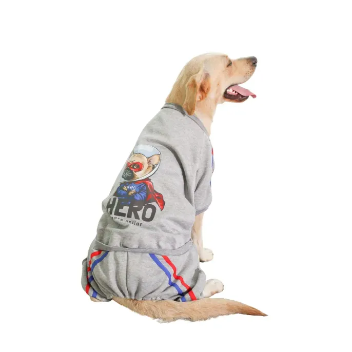 four leg dog hoodie