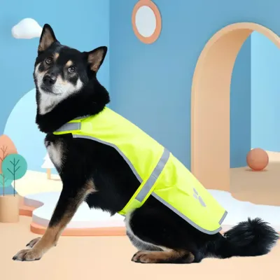 outdoor dog safety wear outdoor dog safety wear