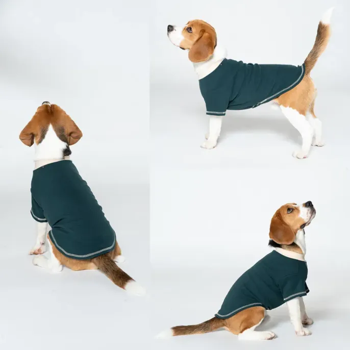 two leg pet clothing