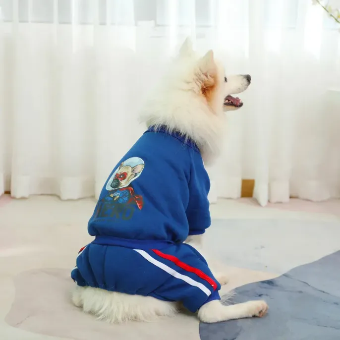 Labrador hoodie