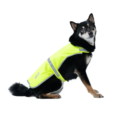 safety dog apparel safety dog apparel