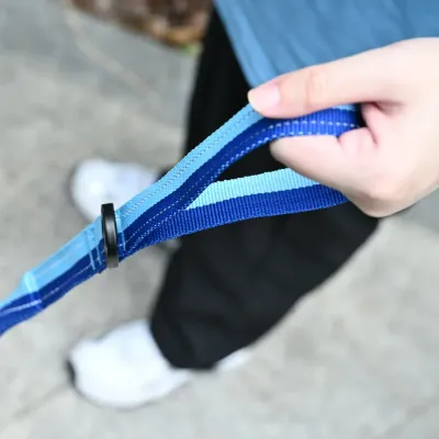 Bulk Dog Shock Absorbing Leash Bulk Dog Shock Absorbing Leash