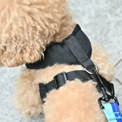 Hot Selling Anti Pull Dog Harness Hot Selling Anti Pull Dog Harness